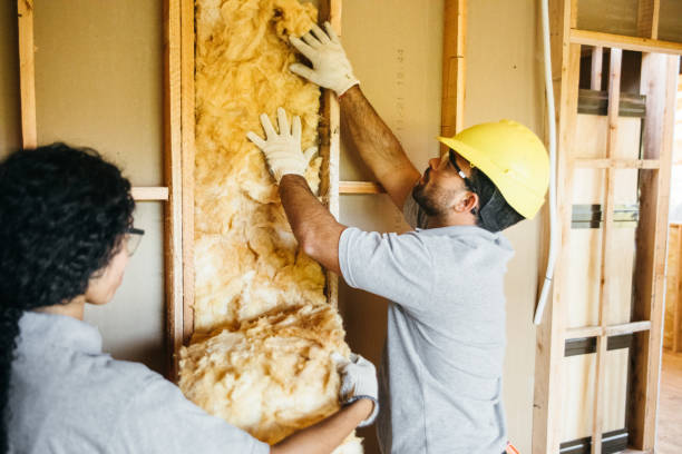 Best Wall Insulation Installation  in Riverwoods, IL